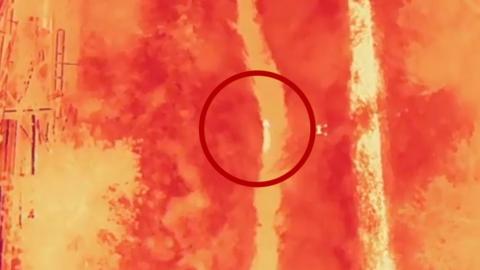 A wolf in an aerial thermal camera shot is circled with a red graphic.