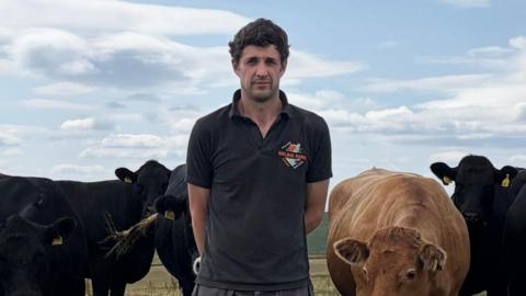 A person stands in the center of a grassy pasture surrounded by a herd of cattle, mostly black with one light brown cow near the front. The cattle are gathered closely around the person, some grazing and others facing the camera.