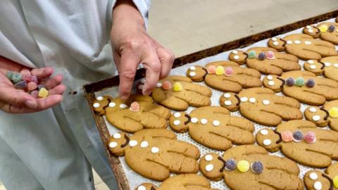 A tray of gingerbread men being decorated with icing and jelly tot sweets.