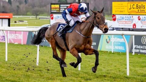 A jockey is riding a racehorse at speed on a grass racecourse. The horse is mid-stride with its front legs lifted high and its hind legs pushing off the ground, kicking up small clumps of turf behind it. The jockey is wearing a red, white and blue racing outfit and is leaning forward low over the saddle in a racing position. The number 6 is visible on the horse’s saddlecloth.