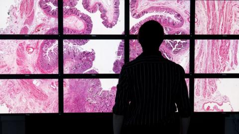 A man looking at a giant screen displaying human tissue cells