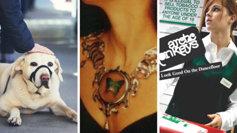A collage of three visuals: on the left, a yellow Labrador Retriever wearing a black muzzle lies on the ground while a person gently pats its head; in the centre, a close-up of an ornate necklace with a butterfly-themed circular pendant; on the right, an album cover for Arctic Monkeys' 'I Bet You Look Good On the Dancefloor' featuring a person in work attire and a tobacco sale warning sign.
