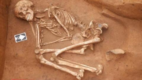 Bronze Age skeleton found in Kent in a crouched position lying on red-coloured rock