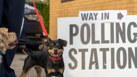 A small black and tan dog stands on a lead beside a “Polling Station” sign outside a voting location. The words “Way In” are visible on a directional arrow above the entrance sign. The background shows a parked car and a brick building.