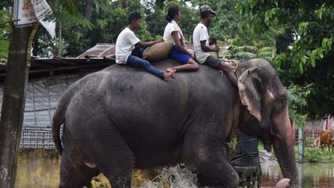 An elephant wades through flood waters with three people on its back in Koliabor, India on August 13, 2017.