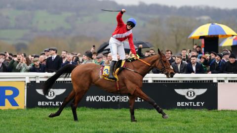 A jockey is riding a brown horse, holding his arm and riding crop high, with spectators watching on behind at ground level.