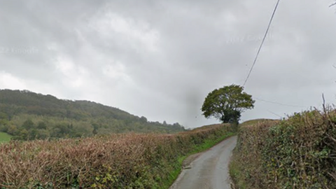 Looking down a narrow country lane. Hedges line either side of the road. A single tree is growing in the hedge next to the road. Trees are in the distance. They sky is overcast.