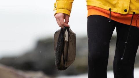 Tè le baga salchair choin na làimh