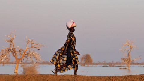 A woman in a black dress with pineapples printed on it walks along an earthen dyke with a package on her head. On the other side of the dyke are several trees surrounded by flood water - Bentiu, South Sudan