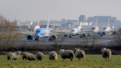 Four aeroplanes line up for take off at London Gatwick Airport. In the foreground, seven sheep stand around on a bank of grass. 