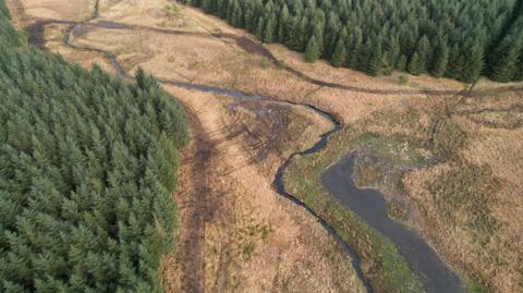 An aerial shot of Tipalt Burn which is a narrow, meandering river. Flood plains and trees can be seen on either side of the tributary.