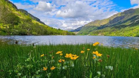 A mountain lake landscape with tall green grass and bright yellow wildflowers in the foreground. The lake reflects the surrounding slopes and the sky is blue with some clouds