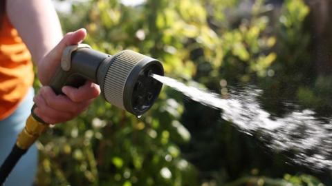 Water coming out of a hose