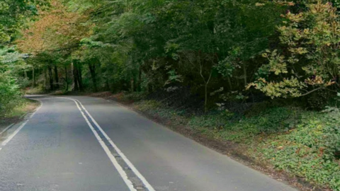 Trees either side of the road