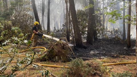 Firefighter with hose and water spraying in woodland with charred ground and smoke rising.