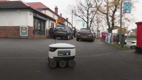 Delivery robot