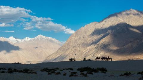 Visitors ride on Double-humped Bactrian camels at Sand Dunes leisure park at Nubra Valley in Ladakh, India on August 14, 2015.