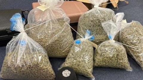 Six see-through bags are sat on the floor, each containing green organic material. The top of a police helmet can be seen at the bottom of the image