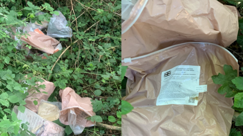 Litter in greenery on left - brown and clear plastic bags.. One right, close-up of bags