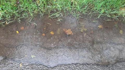 A puddle, with ripples created by fresh rain and autumnal golden leaves in it. It is edged with green grass at the top and tarmac at the bottom