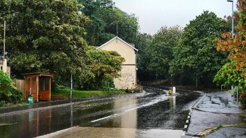 A wet-looking street in Exeter after heavy rain. Water can be seen on the tree-lined road and pavements. A wooden bus shelter is on the left-hand side of the photo.