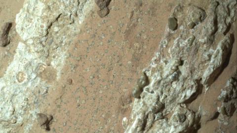 Image taken on the surface of Mars. It shows a large red grainy rock with unusual pale dots ringed with a black outline that look like leopard spots as well as small black dots that scientists have nick named poppy seeds. There are also pale white rocky outcrops. 