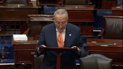 Chuck Schumer reading and talking