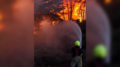 Firefighter spraying water at a woodland wildfire.