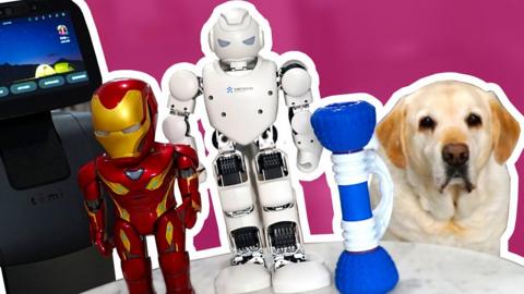 A collection of robots with a dog