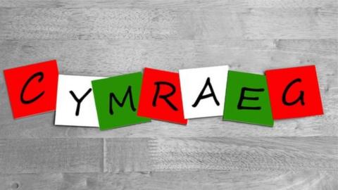 Arwydd iaith