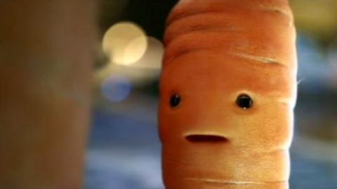 Kevin the carrot