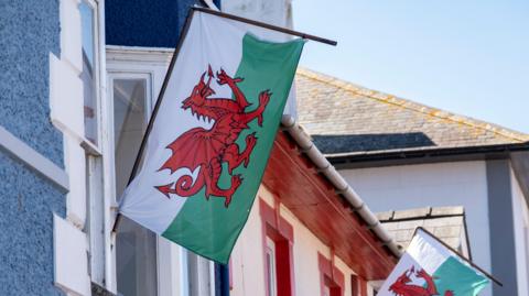 Baner cymru