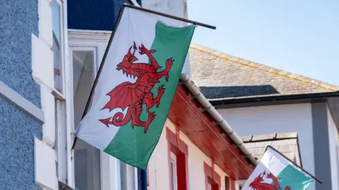 Baner cymru