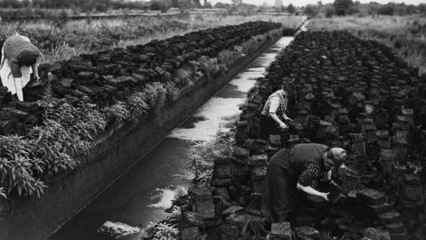 Old picture of women harvesting peat on the Somerset Levels