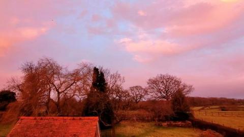 Purple clouds above the tree line with a lone house in the foreground