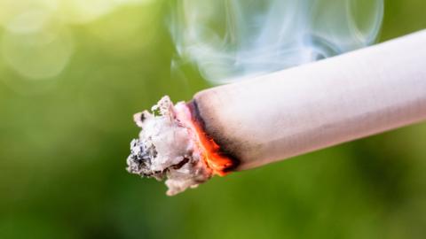 A close up of a lit cigarette