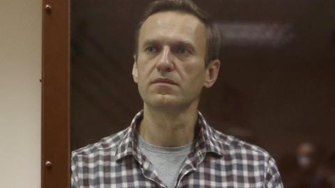 Kremlin critic Alexei Navalny stands inside a defendant dock during a court hearing in Moscow on 20 February