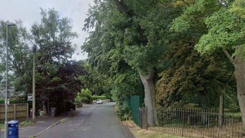 Street view of Moss Lane, with lots of huge trees either side of the road and fencing to the right in front of the trees There is a blue bin to the left and a small white car parked up in the distance