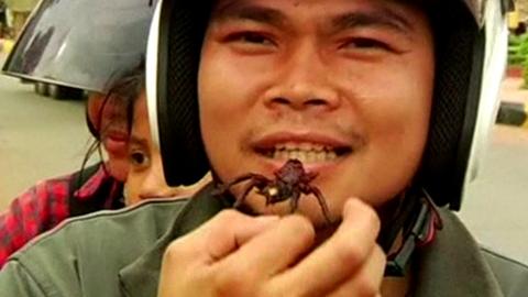 Man eating tarantula