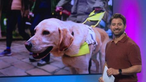 ricky in the studio with guide dog in plasma screen