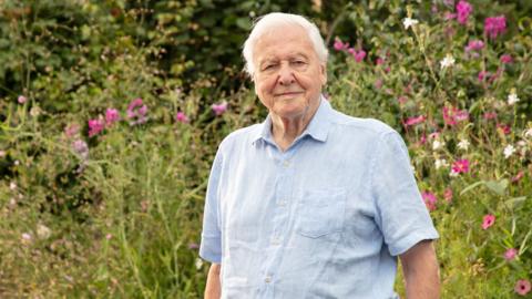Sir David Attenborough