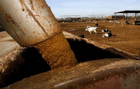 Stock photo of slurry at a farm