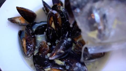 Mussels