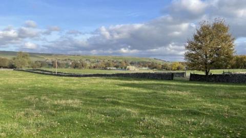 A picture of a green field in the Yorkshire Dales with a drystone wall and large tree in the background