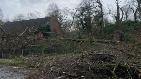 A derelict church building next to a woodland with bare trees, and lots of branches on the ground. The tree has gone into the back of the church, causing damage to red bricks on the roof