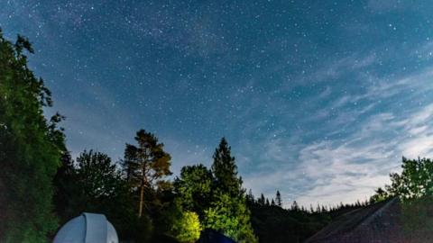 The view of the twilight sky, littered with stars, above a canopy of trees.