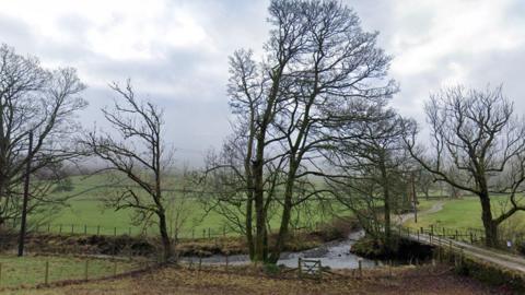 The River Sprint. Its river bed is narrow and curves. It is surrounded by several trees and a misty meadow. There is a small footbridge over the river.