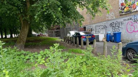 An alleyway lined with cars next to a patch of land with weeds growing
