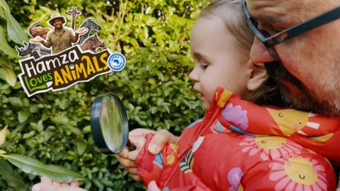 Girl with father examines leaves through a magnifying glass.
