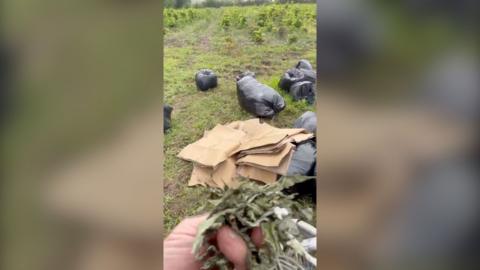 A man holding some dried cannabis leaves in front of bags of rubbish